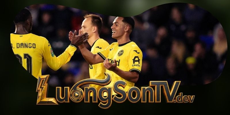 Phân tích phong độ Brentford vs Liverpool qua khả năng giữ cường độ và chống phản công